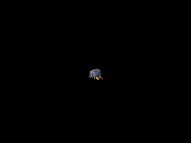 블롭 · 오른쪽